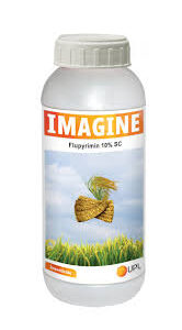 Imagine Insecticide | Top Insecticide for Agriculture