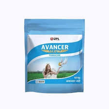 Avancer Tebuconazole Fungicide High-Performance Defense