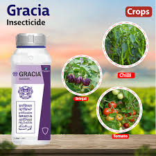 Gracia Insecticide, Top Insecticide for Agriculture