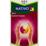 Nativo Tebuconazole Fungicide | High-Yield Disease Guard
