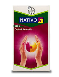 Nativo Tebuconazole Fungicide | High-Yield Disease Guard